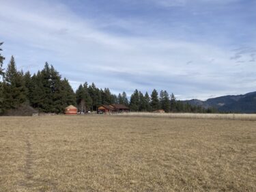 Washington 2024, Grandma’s House